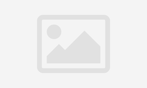 BSB50920 Diploma of Quality Auditing